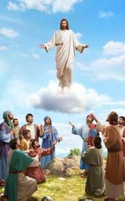 cid:49245bdf-2d89-4886-9453-0b300b201a9d